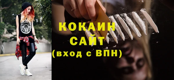 шишки Бронницы