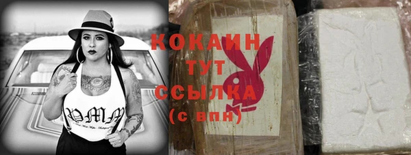 шишки Бронницы