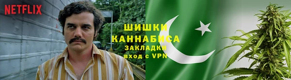 шишки Бронницы