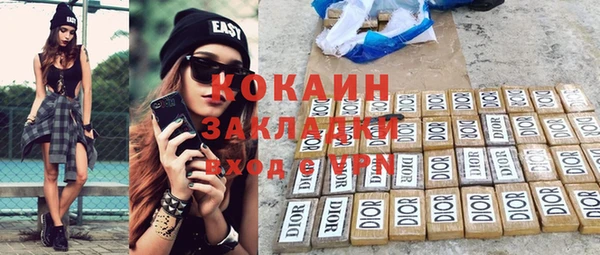 шишки Бронницы