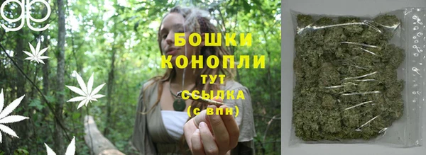 МДМА Бородино