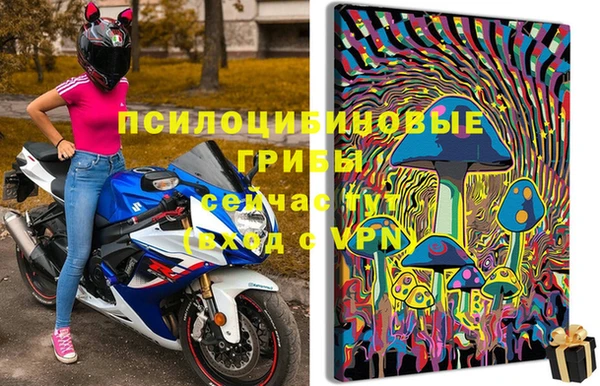 МДМА Бородино