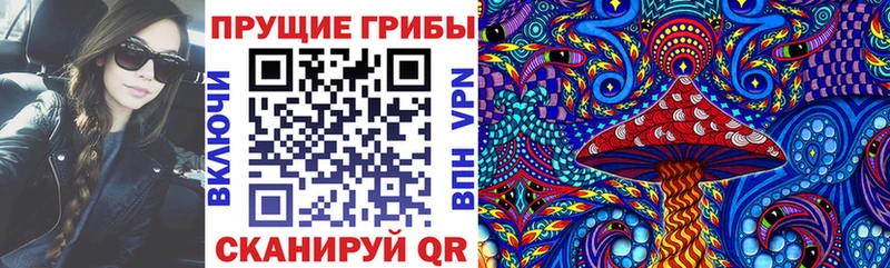 Псилоцибиновые грибы Cubensis мега tor shop официальный сайт Чудово